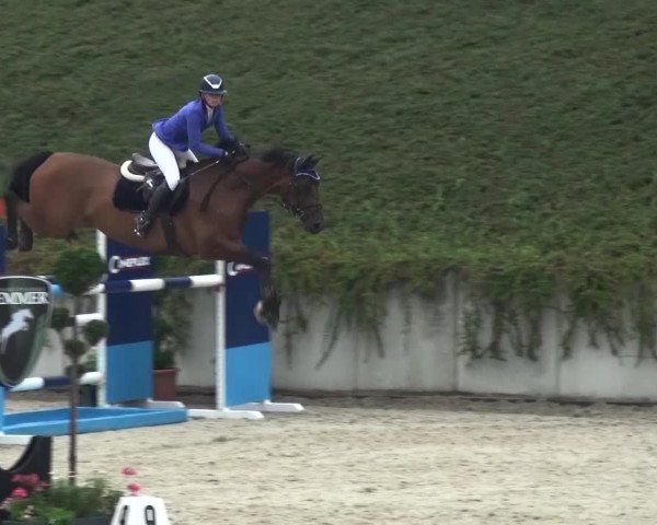 Reitturnier Lohmar-Halberg 2016