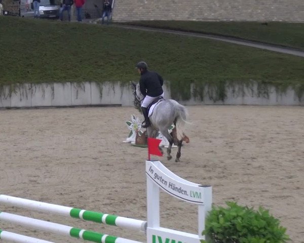 Reitturnier Lohmar-Halberg 2016