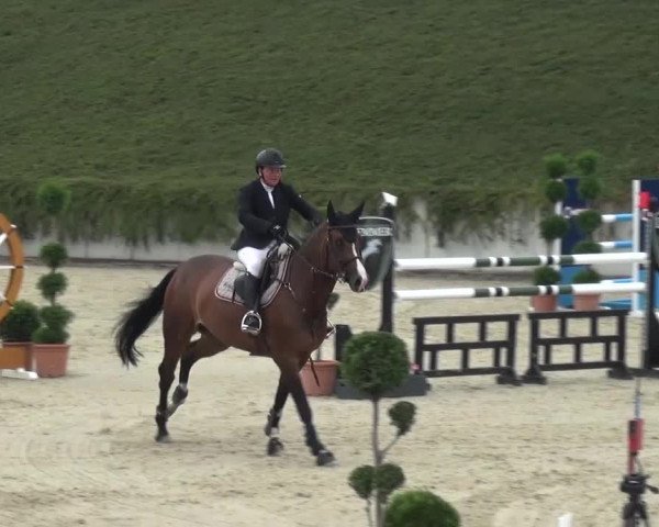 Reitturnier Lohmar-Halberg 2016