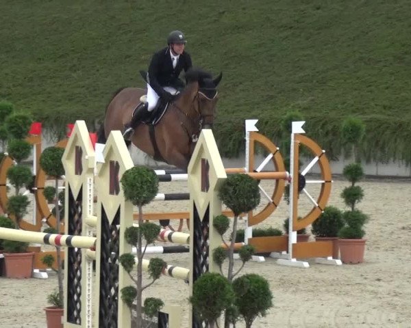 Reitturnier Lohmar-Halberg 2016
