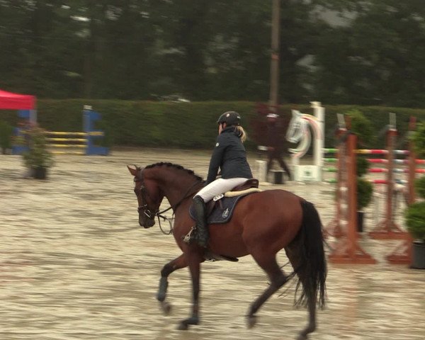 Reitturnier Olfen-Vinnum 2016