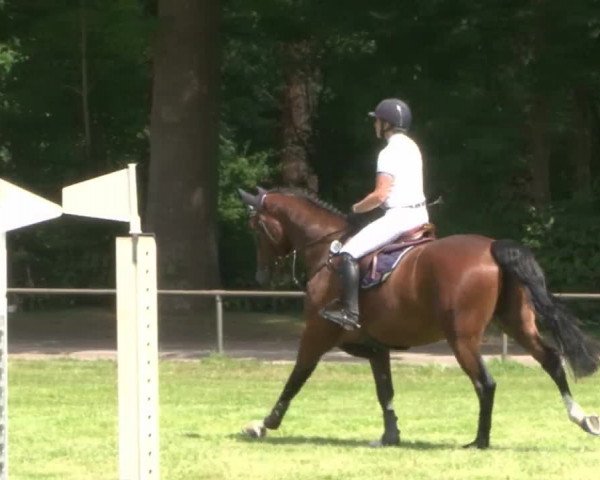 Reitturnier Hamburg-Friedrichshulde 2016