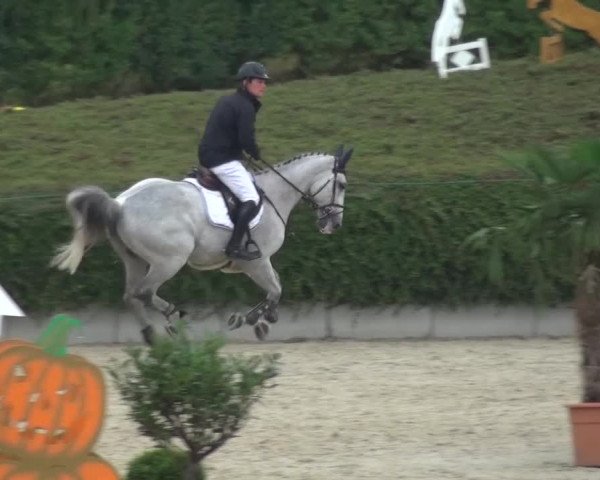 Reitturnier Lohmar-Halberg 2016