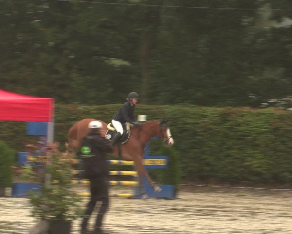 Reitturnier Olfen-Vinnum 2016