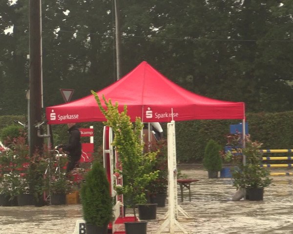 Reitturnier Olfen-Vinnum 2016