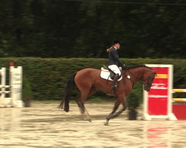 Reitturnier Olfen-Vinnum 2016