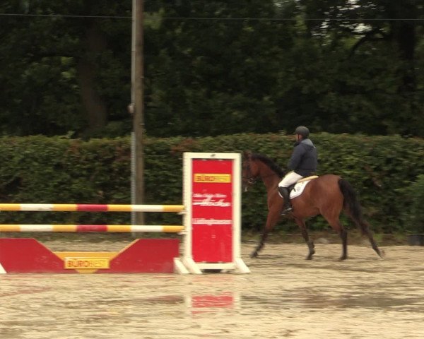 Reitturnier Olfen-Vinnum 2016