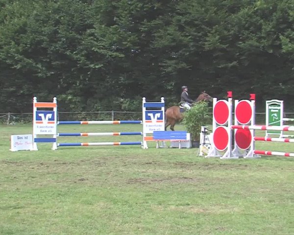 Reitturnier Felmerholz 2016