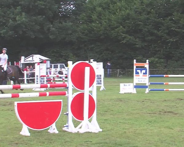 Reitturnier Felmerholz 2016