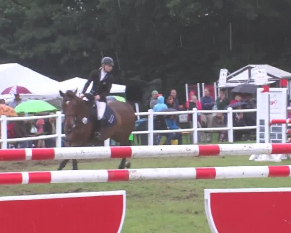 Reitturnier Felmerholz 2016