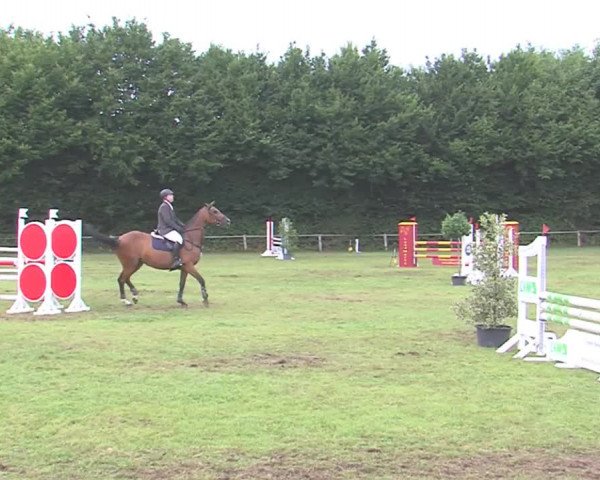 Reitturnier Felmerholz 2016