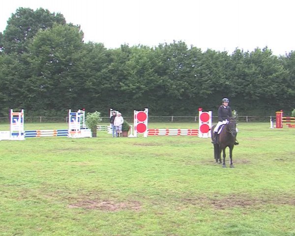Reitturnier Felmerholz 2016