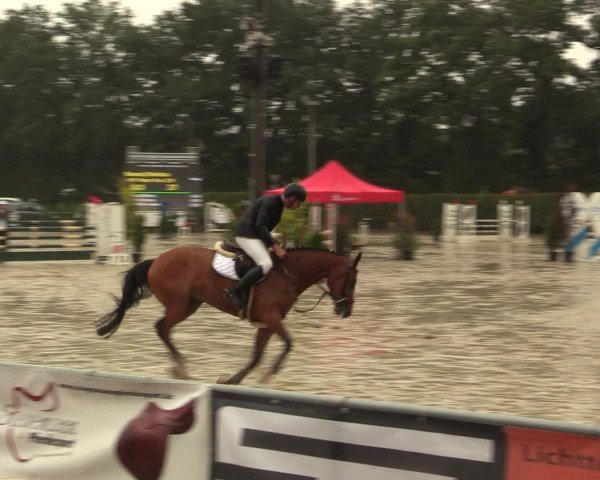 Reitturnier Olfen-Vinnum 2016