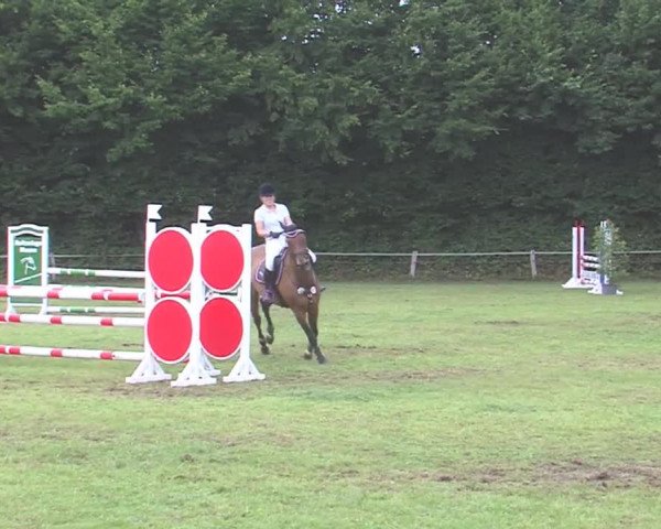 Reitturnier Felmerholz 2016