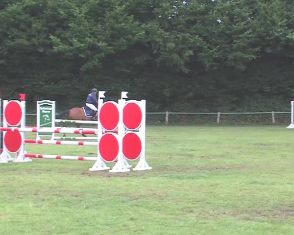 Reitturnier Felmerholz 2016