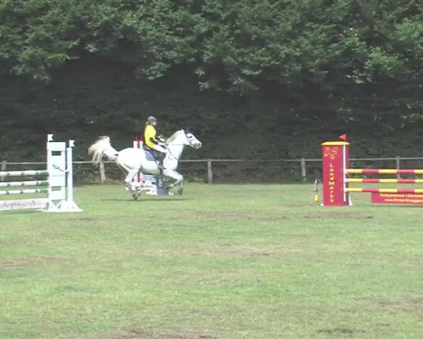 Reitturnier Felmerholz 2016