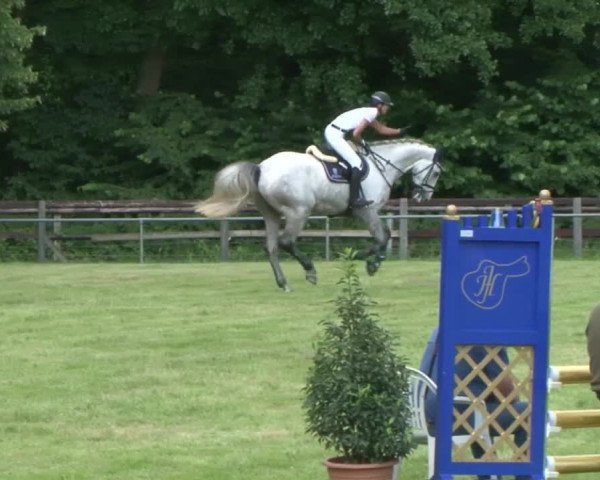 Reitturnier Hamburg-Friedrichshulde 2016