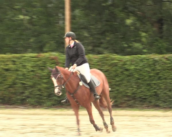 Reitturnier Olfen-Vinnum 2016