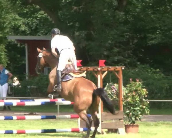 Reitturnier Hamburg-Friedrichshulde 2016