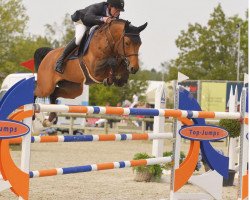 Deckhengst Floyd van Schore (Belgium Sporthorse, 2011, von Indoctro)