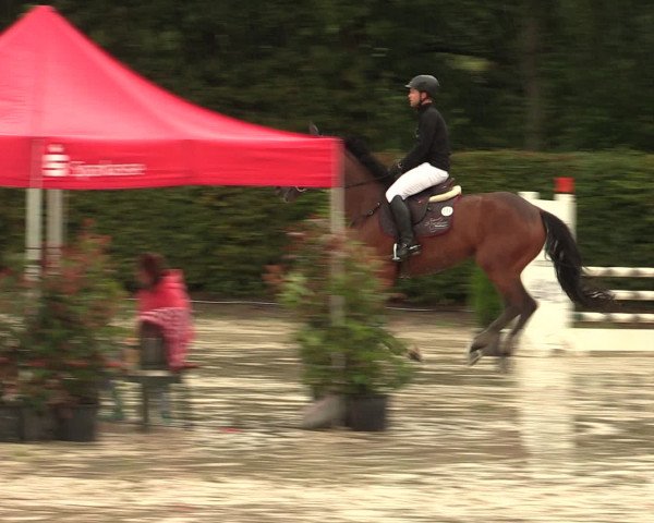 Reitturnier Olfen-Vinnum 2016