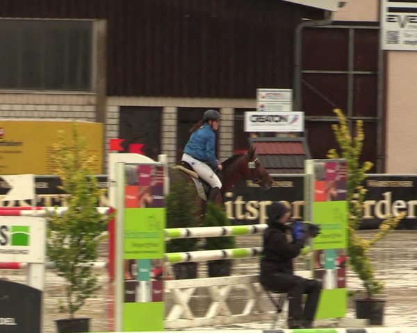 Reitturnier Olfen-Vinnum 2016