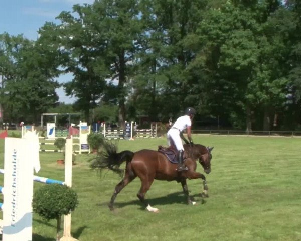 Reitturnier Hamburg-Friedrichshulde 2016