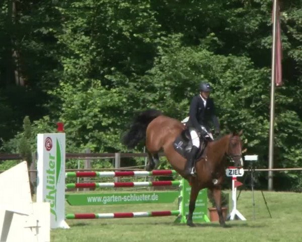 Reitturnier Hamburg-Friedrichshulde 2016