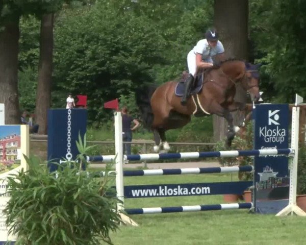Reitturnier Hamburg-Friedrichshulde 2016