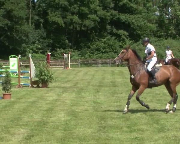 Reitturnier Hamburg-Friedrichshulde 2016