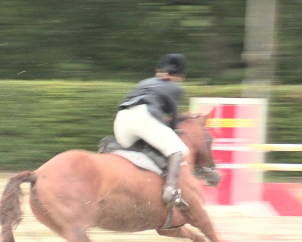 Reitturnier Olfen-Vinnum 2016