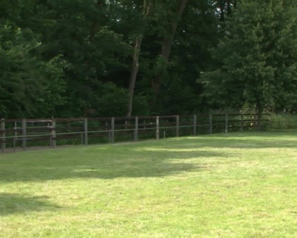 Reitturnier Hamburg-Friedrichshulde 2016
