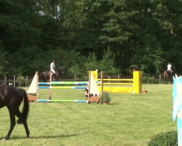 Reitturnier Hamburg-Friedrichshulde 2016