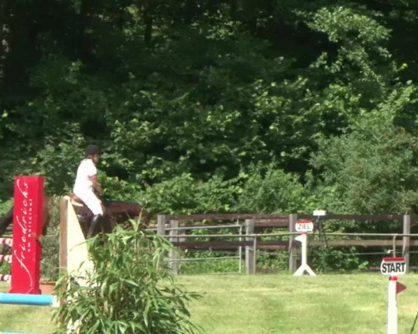 Reitturnier Hamburg-Friedrichshulde 2016