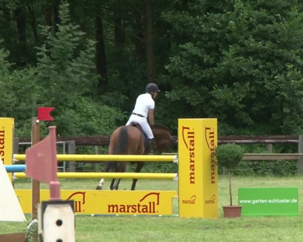 Reitturnier Hamburg-Friedrichshulde 2016