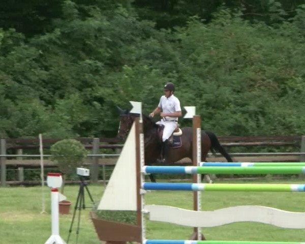 Reitturnier Hamburg-Friedrichshulde 2016