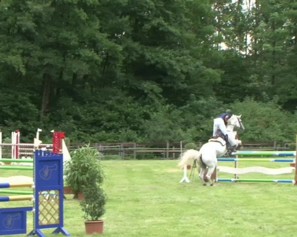Reitturnier Hamburg-Friedrichshulde 2016