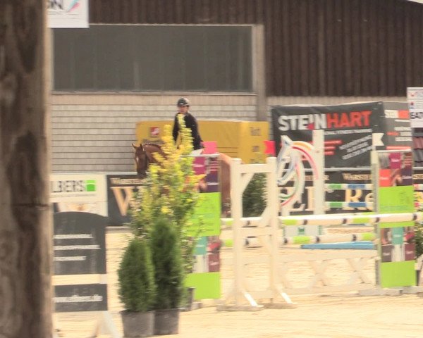 Reitturnier Olfen-Vinnum 2016