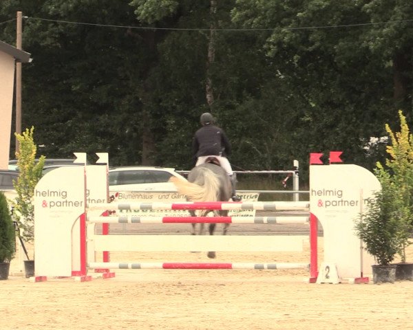 Reitturnier Olfen-Vinnum 2016