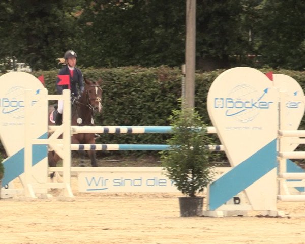 Reitturnier Olfen-Vinnum 2016