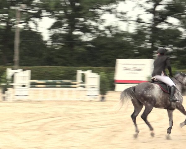 Reitturnier Olfen-Vinnum 2016