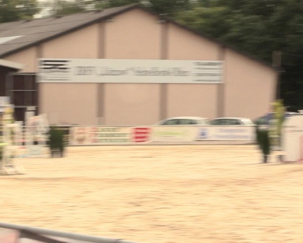Reitturnier Olfen-Vinnum 2016