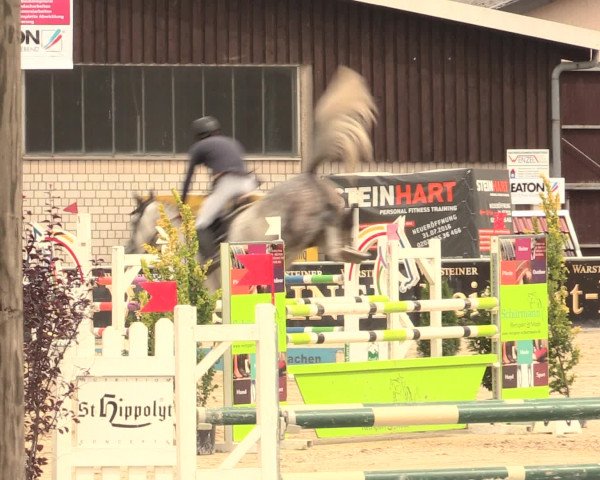 Reitturnier Olfen-Vinnum 2016
