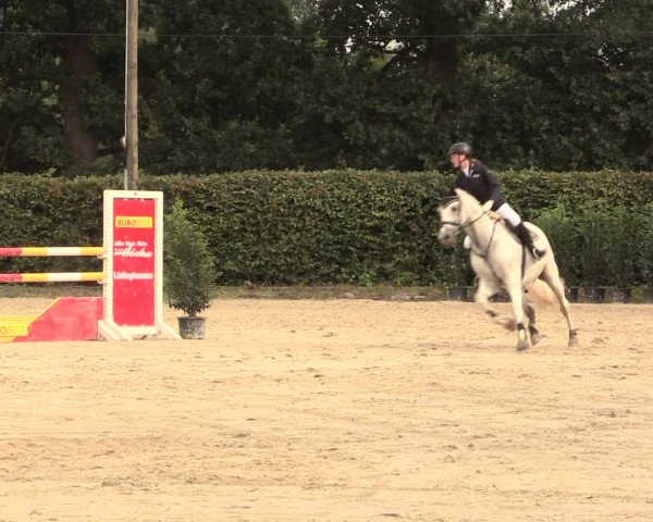 Reitturnier Olfen-Vinnum 2016