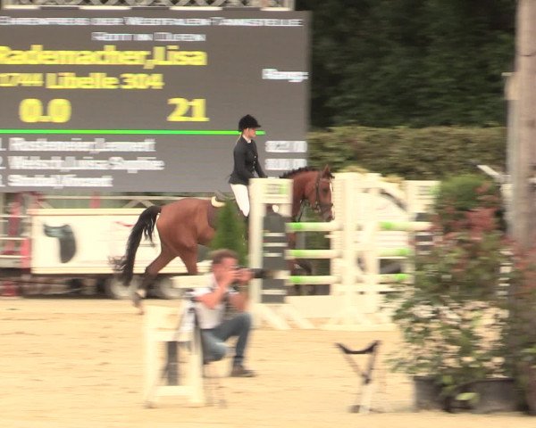 Reitturnier Olfen-Vinnum 2016