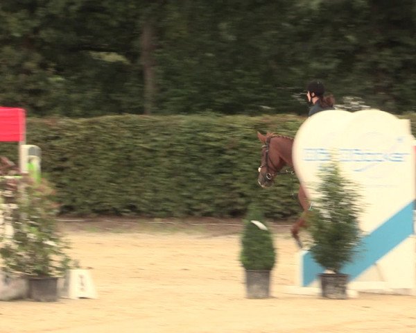 Reitturnier Olfen-Vinnum 2016
