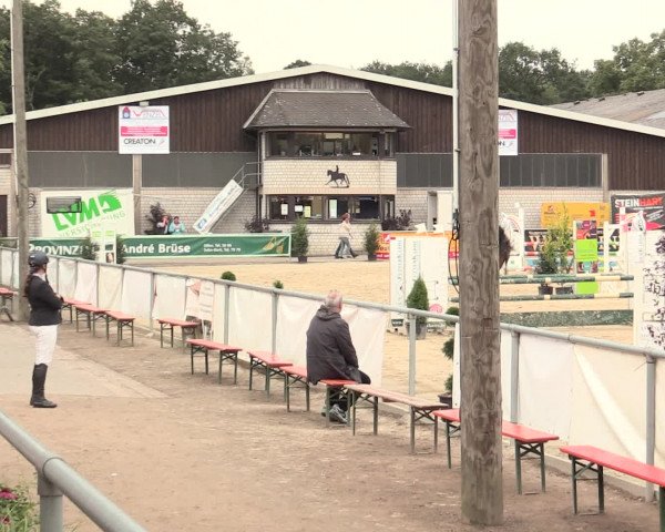 Reitturnier Olfen-Vinnum 2016