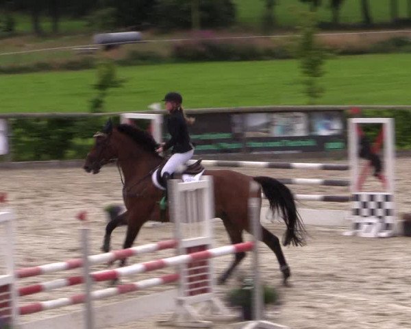 Reitturnier Monschau-Mützenich 2016