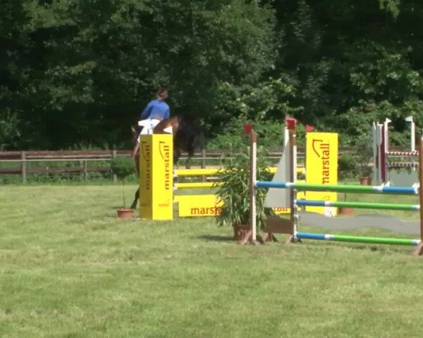 Reitturnier Hamburg-Friedrichshulde 2016