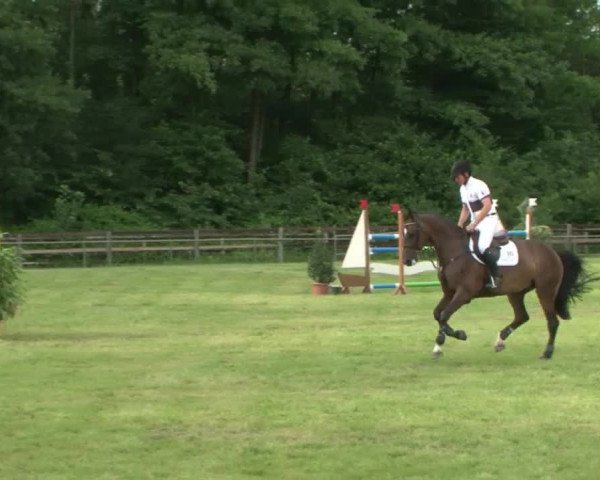Reitturnier Hamburg-Friedrichshulde 2016